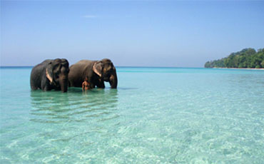Amazing Andaman Holidays