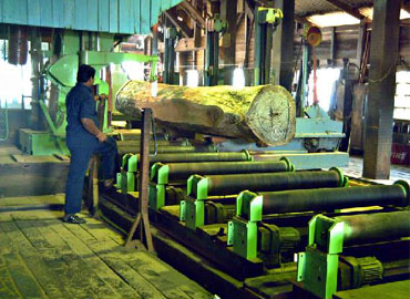 Amazing Andaman Holidays